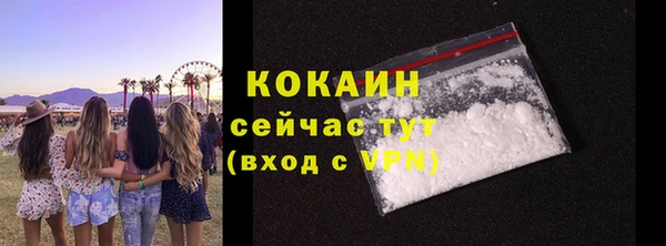ECSTASY Богородск
