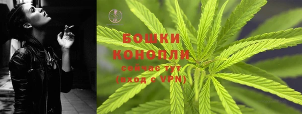 ECSTASY Богородск