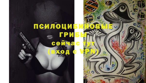 гашишное масло Богданович