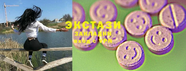 ECSTASY Богородск